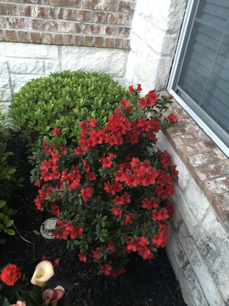 Expert outdoor landscaping in Bossier City, LA by RR LANDSCAPING AND TREE SERVICE