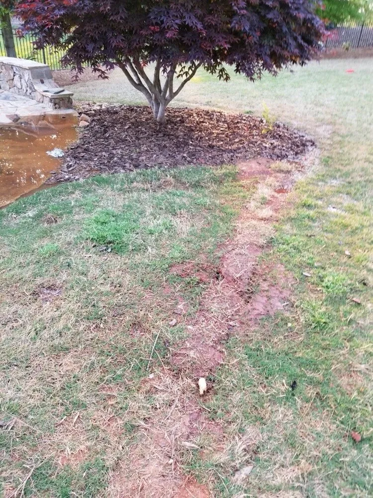 Expert lawn care service for beautiful yards in Auburn, AL by R&R Landscaping