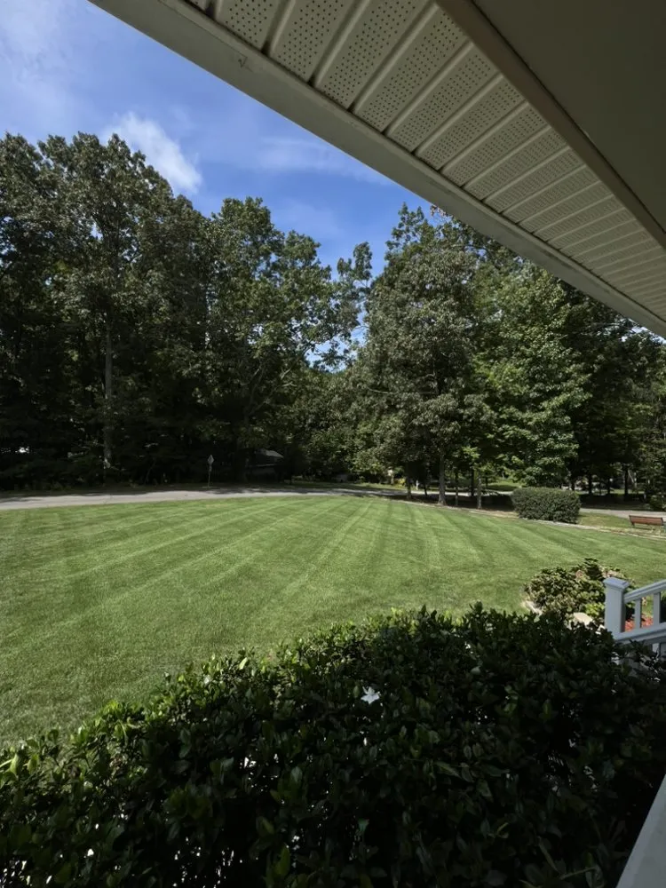 Top-rated yard cleanup service experts serving Braselton, GA - R&R Landscaping