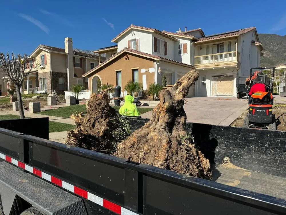 Custom landscape installation for homes across Rancho Cucamonga, CA - R&R Landscaping Maintenance