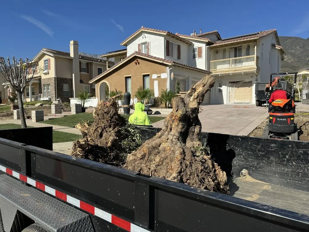 Reliable lawn care service in Rancho Cucamonga, CA - R&R Landscaping Maintenance