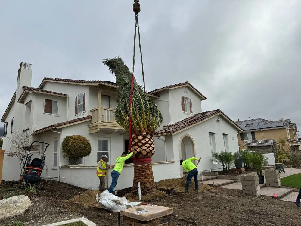 Custom landscaping services experts serving Rancho Cucamonga, CA - R&R Landscaping Maintenance