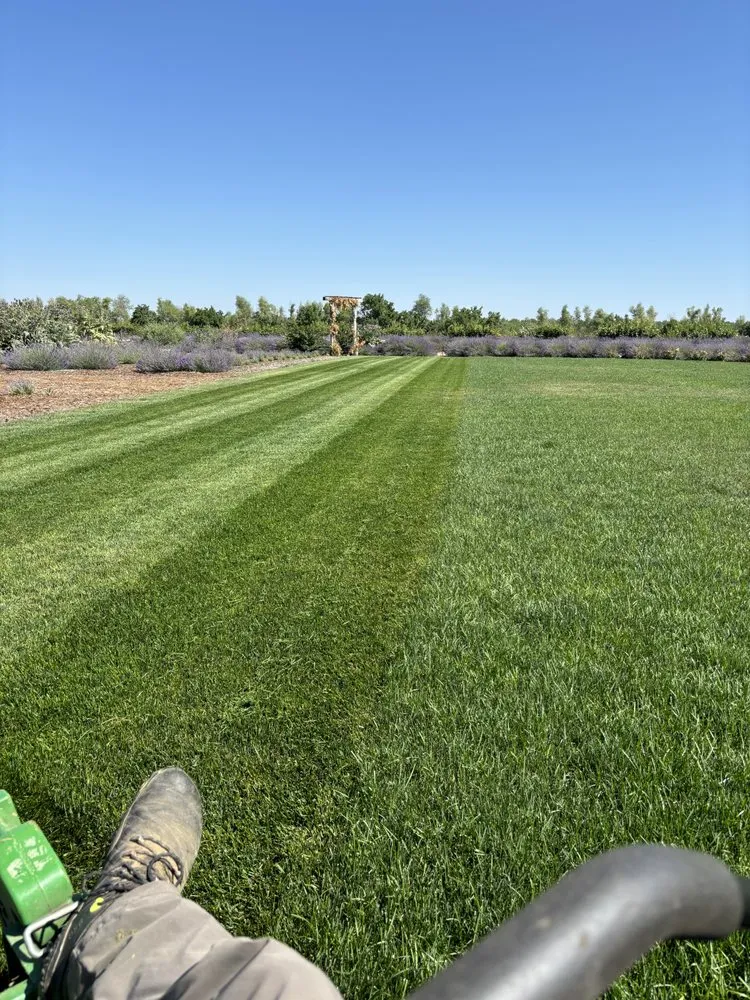 Reliable landscape design in Sacramento, CA by R&R Landscaping