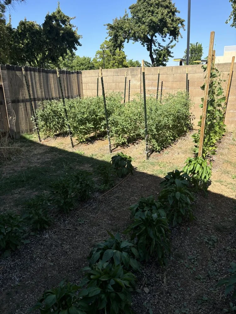 Affordable outdoor landscaping experts serving Sacramento, CA - R&R Landscaping