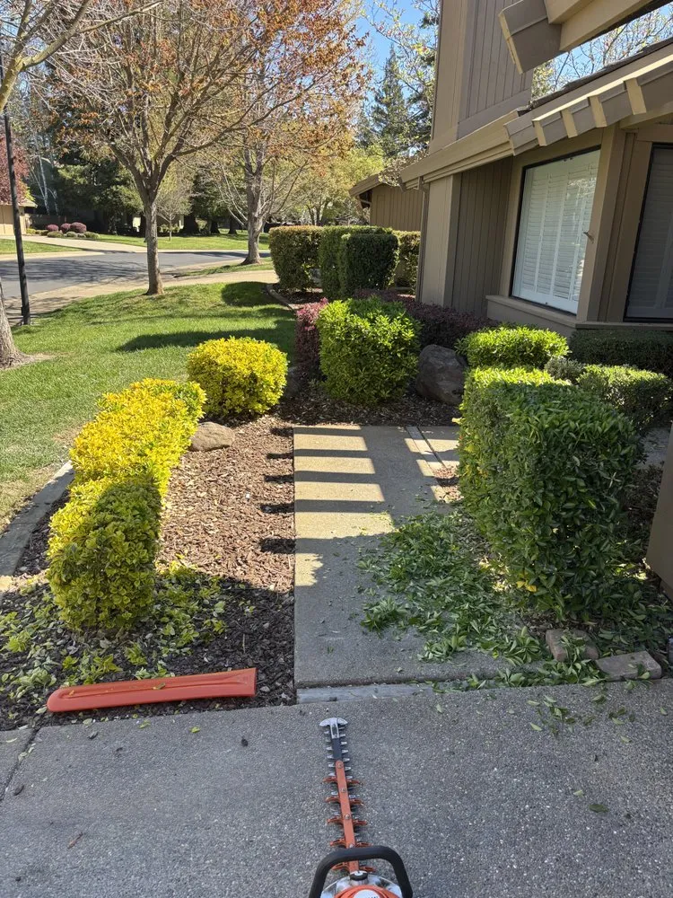 Top-rated landscape design experts serving Sacramento, CA - R&R Landscaping