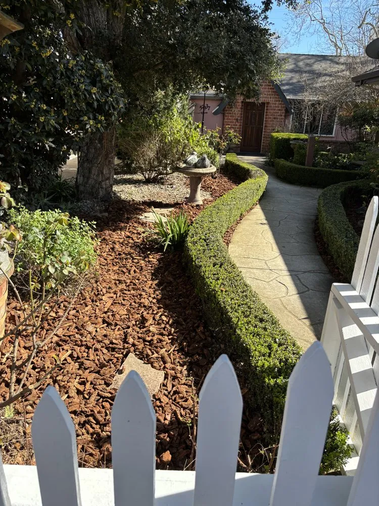 Professional yard maintenance experts serving Sacramento, CA - R&R Landscaping