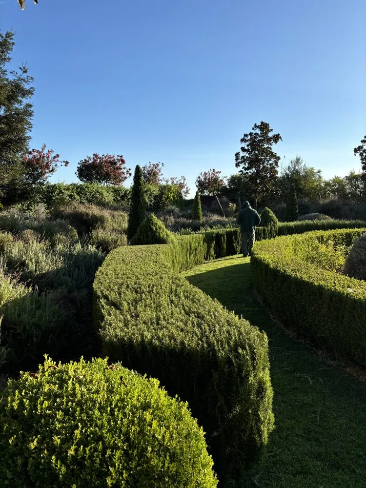 Custom landscape installation for homes in Sacramento, CA by R&R Landscaping