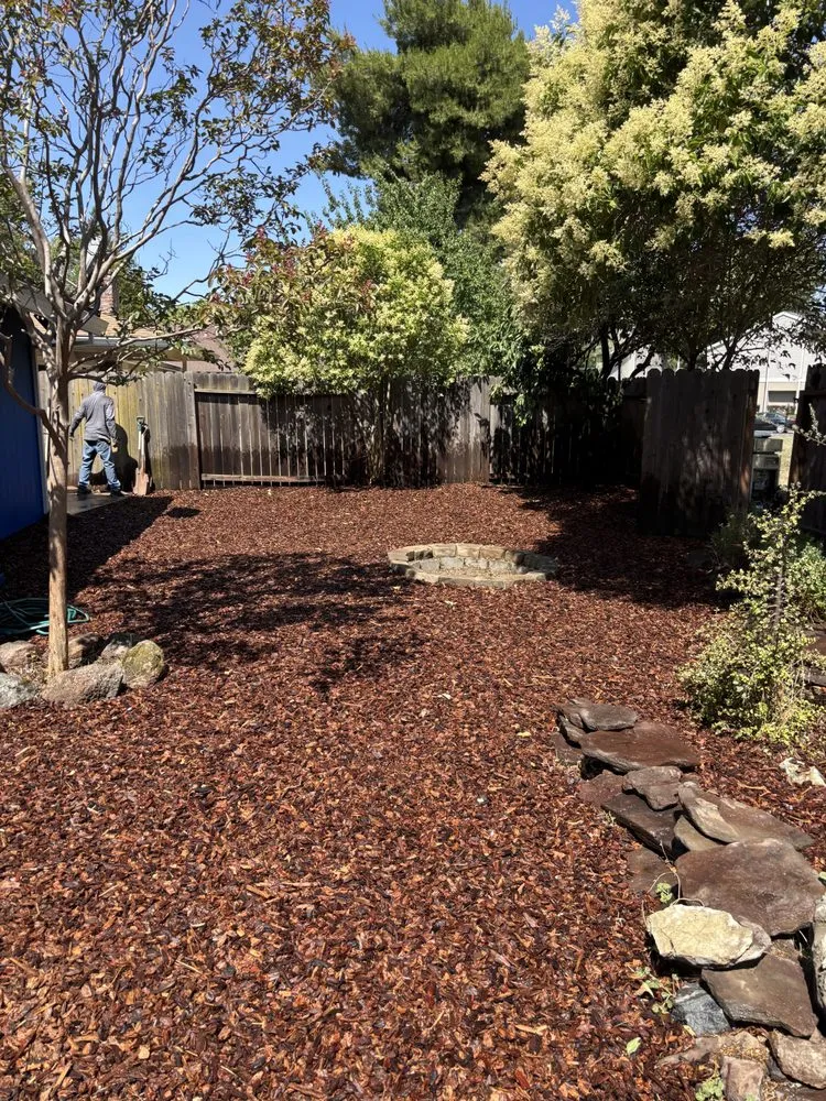 Top-rated lawn mowing service in Sacramento, CA by R&R Landscaping