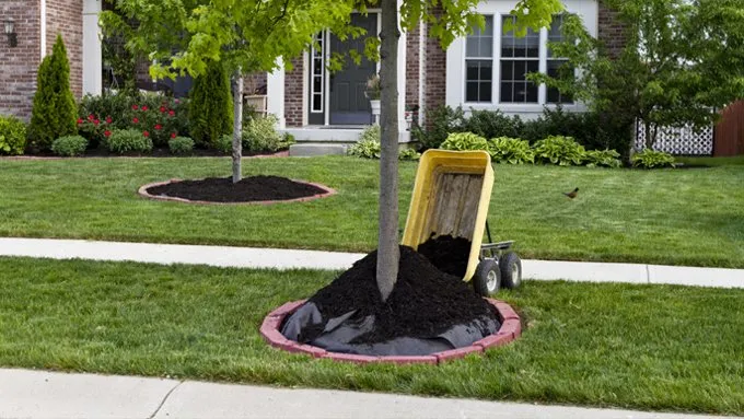Custom outdoor landscaping in Cary, NC - RR Landscaping Services