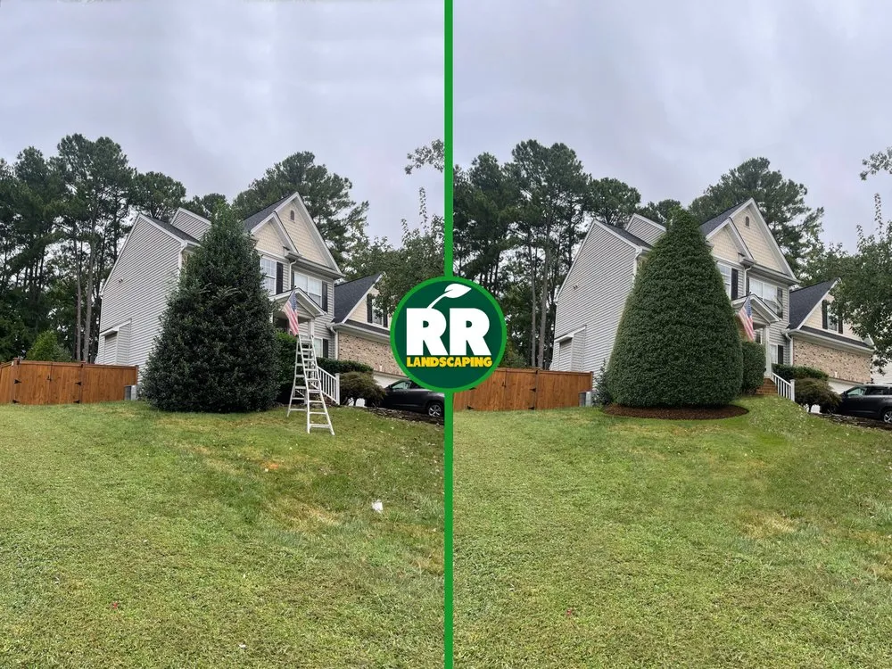 Expert lawn care service for homes in Cary, NC by RR Landscaping Services