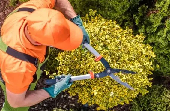 RR Landscaping Services