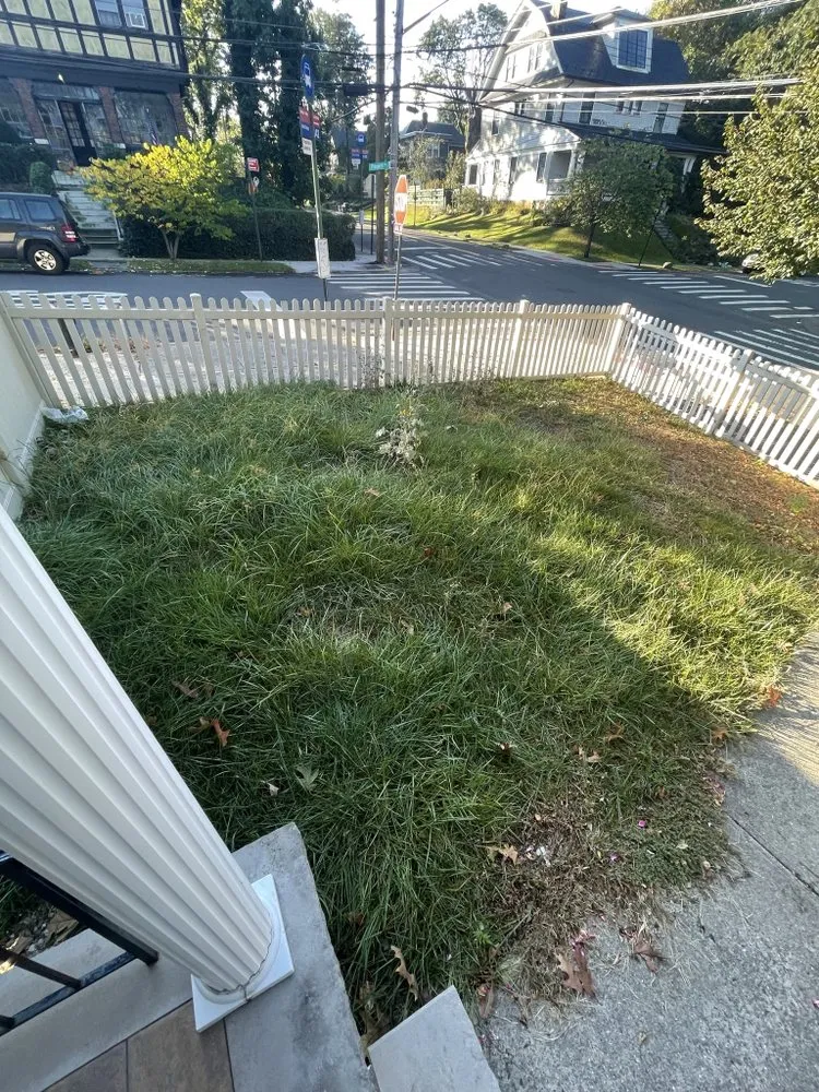 Trusted landscape design for year-round maintenance across Staten Island, NY - R&R Landscaping