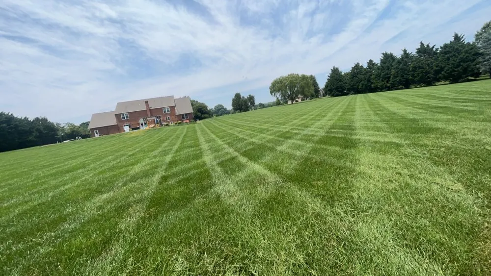 Affordable yard maintenance in Delta, PA by R&R Landservice