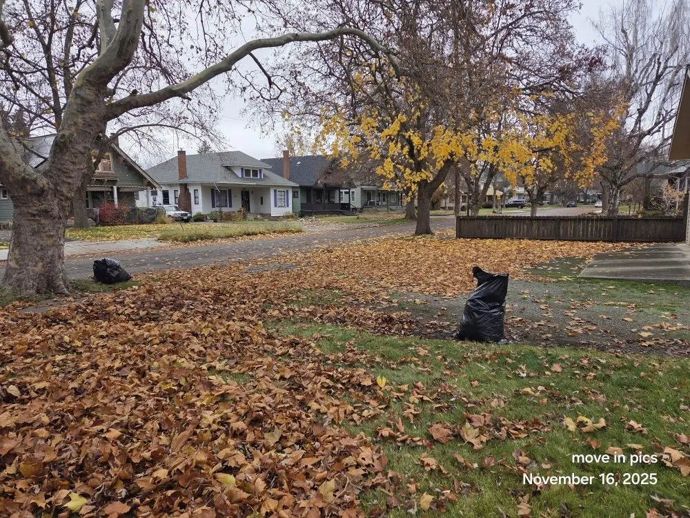 Expert yard cleanup service for outdoor upgrades across Spokane, WA - R&R Lawn & Tree Services