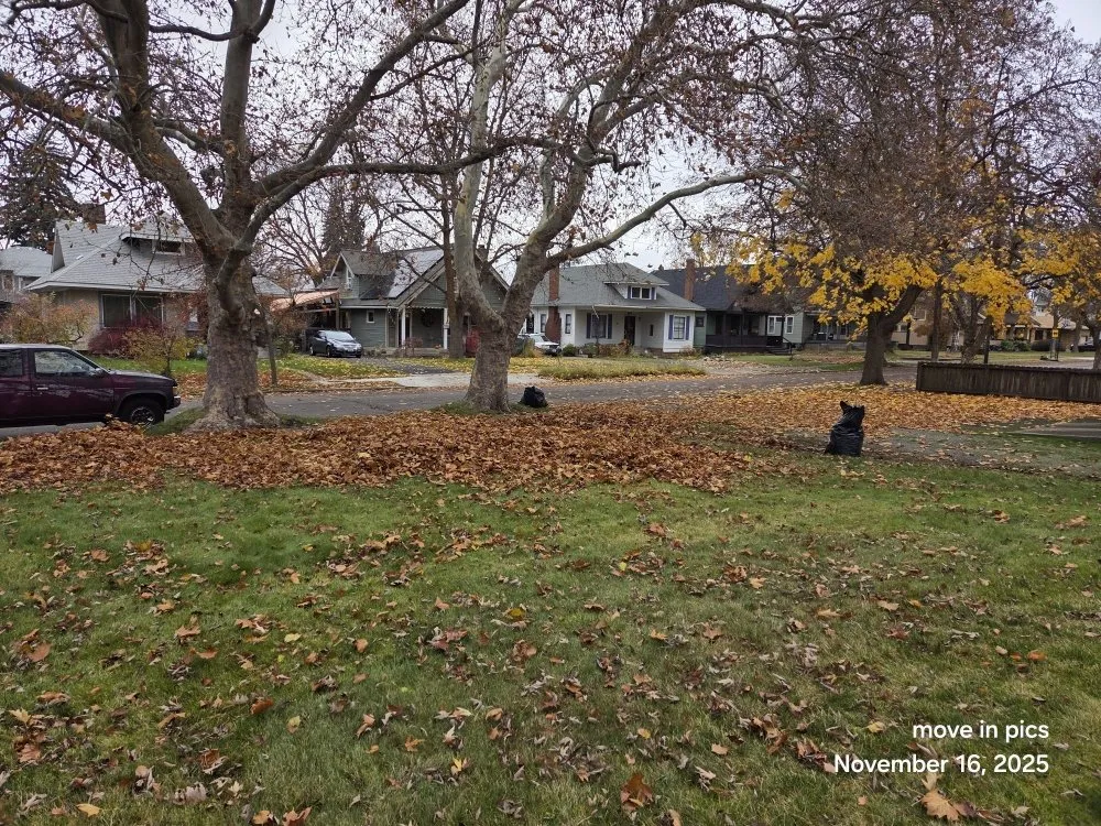 Professional lawn care service in Spokane, WA - R&R Lawn & Tree Services