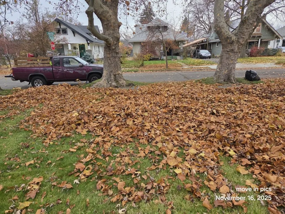 Top-rated lawn care service in Spokane, WA by R&R Lawn & Tree Services