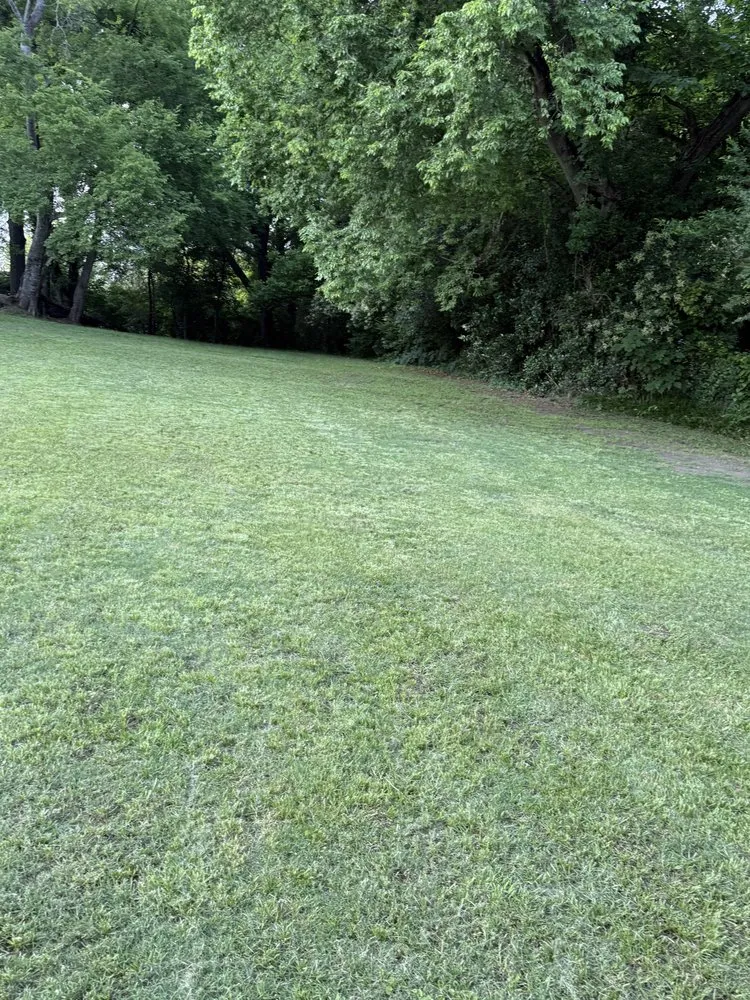 Affordable lawn care service in Montgomery, AL by R&R Lawn Care