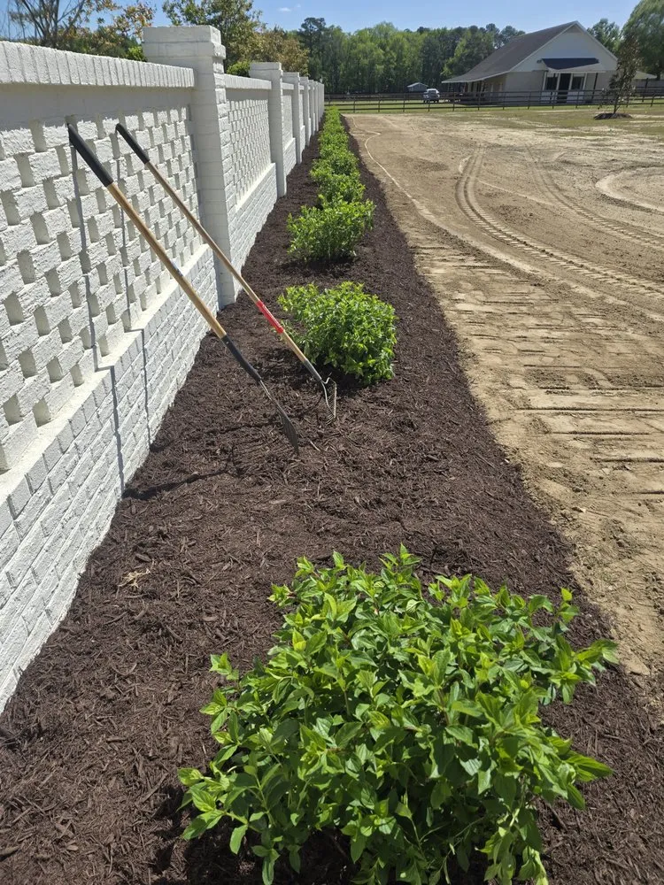 Top-rated yard cleanup service in Smithfield, NC by R&R Lawn Care Service