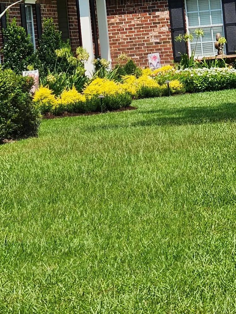 Affordable yard cleanup service for outdoor upgrades across Covington, LA - R&R Lawn Care Services