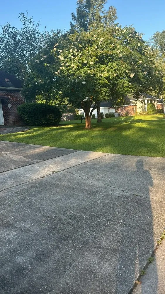 Affordable landscape installation experts serving Covington, LA - R&R Lawn Care Services