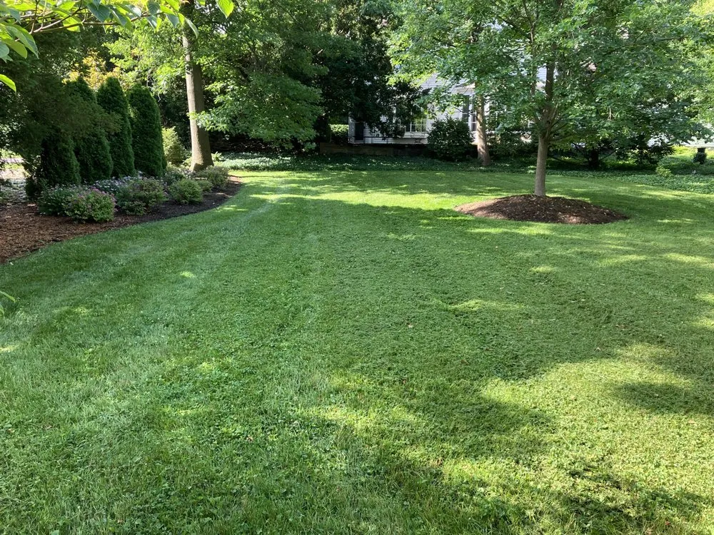 Affordable lawn care service for homes in Greenville, OH by R&R Lawn