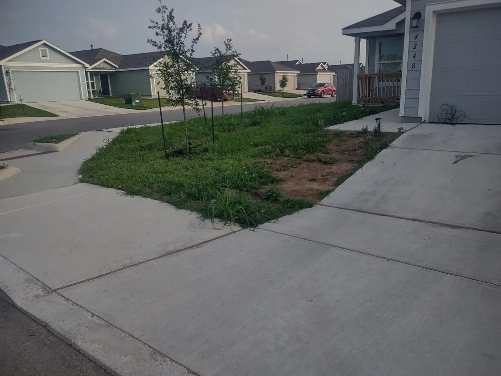 Expert yard cleanup service with custom design in San Antonio, TX by R&R Lawn Service