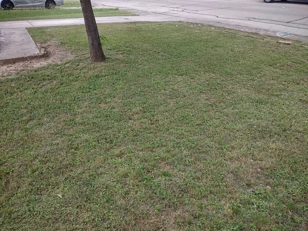 Trusted landscape design in San Antonio, TX - R&R Lawn Service