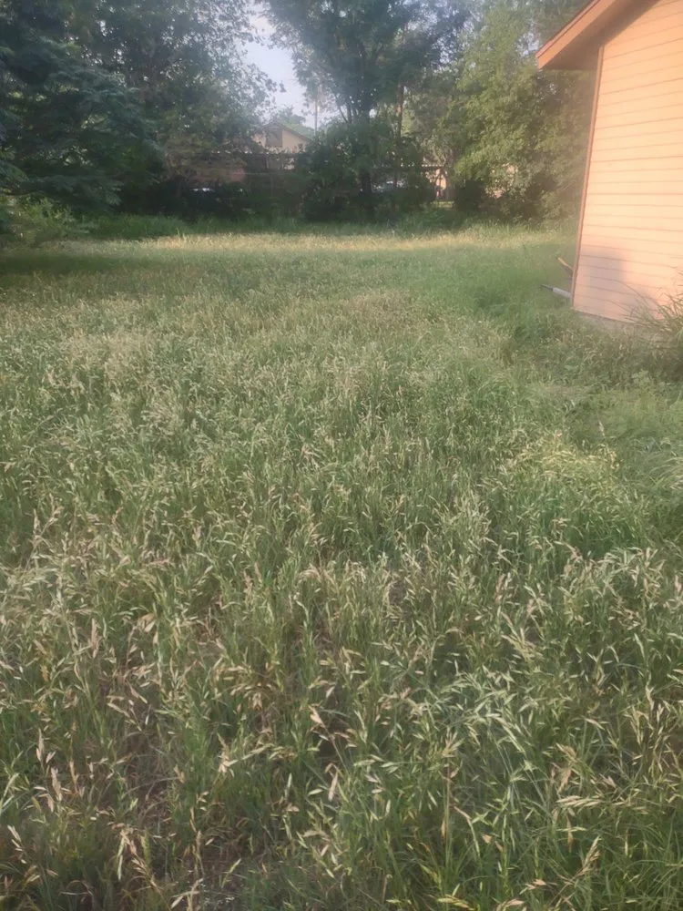 Trusted outdoor landscaping for beautiful yards in San Antonio, TX by R&R Lawn Service