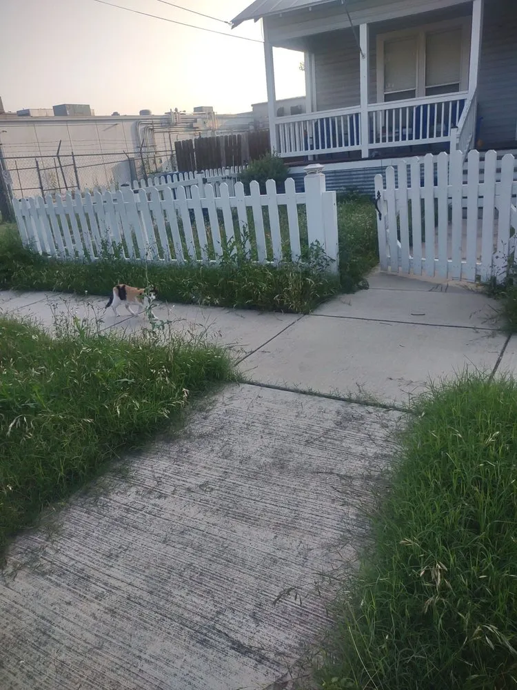 Professional yard cleanup service in San Antonio, TX by R&R Lawn Service