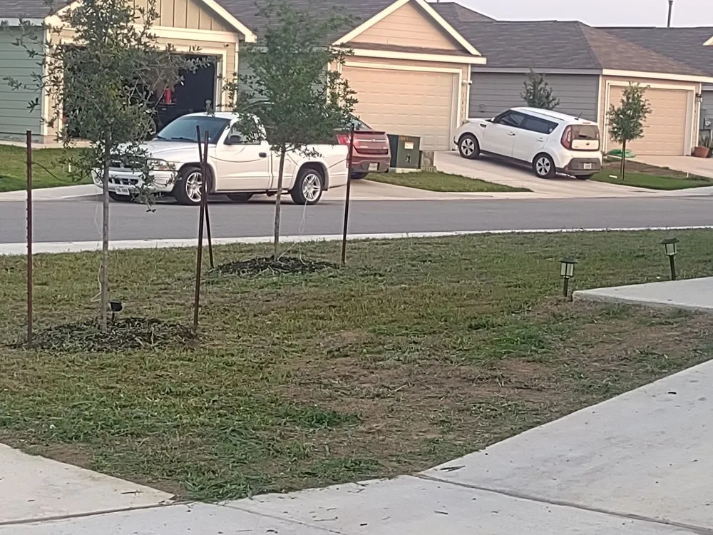 Local landscape design with custom design across San Antonio, TX - R&R Lawn Service