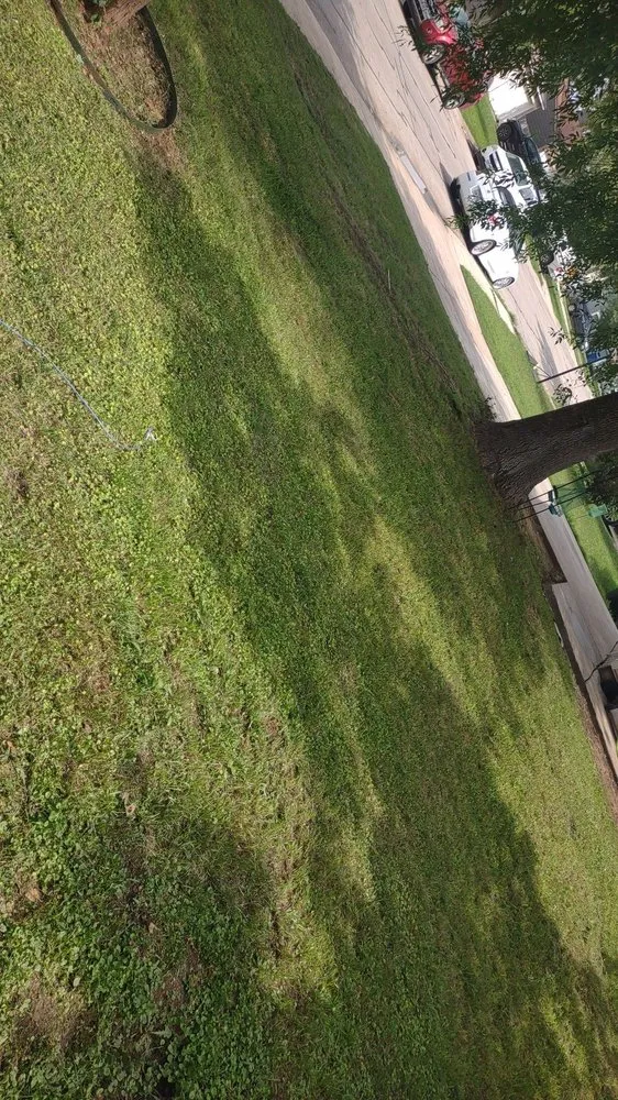 Expert yard maintenance experts serving San Antonio, TX - R&R Lawn Service