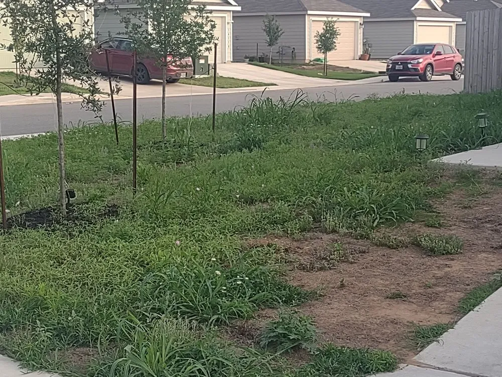 Affordable residential landscaping experts serving San Antonio, TX - R&R Lawn Service