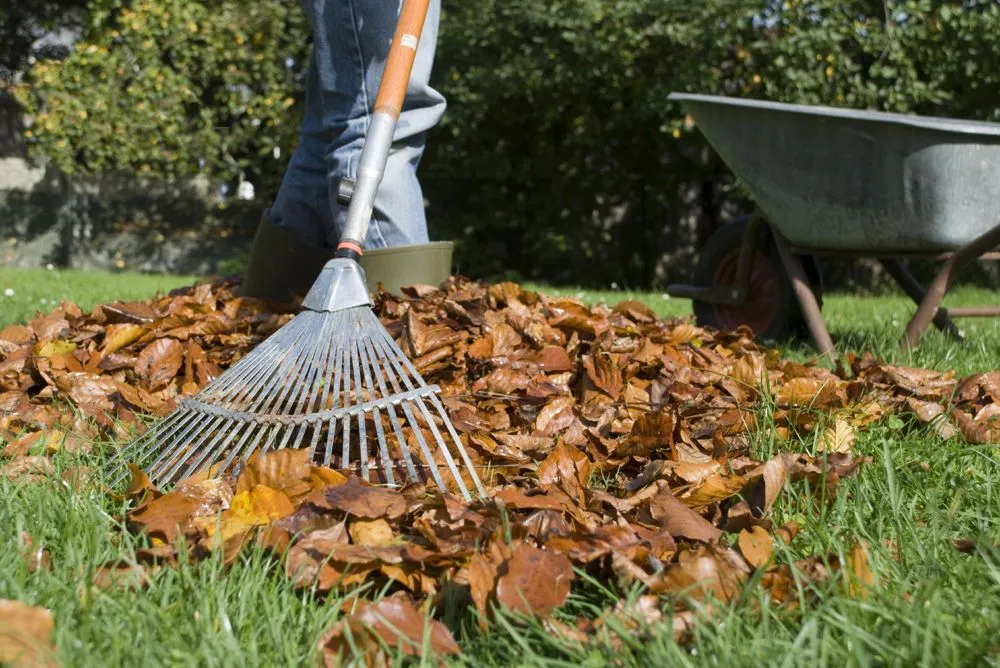 Local yard cleanup service experts serving Wheaton, IL - R&R Lawn Service
