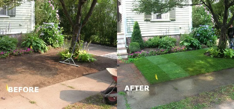 Top-rated lawn care service for beautiful yards in Wheaton, IL by R&R Lawn Service