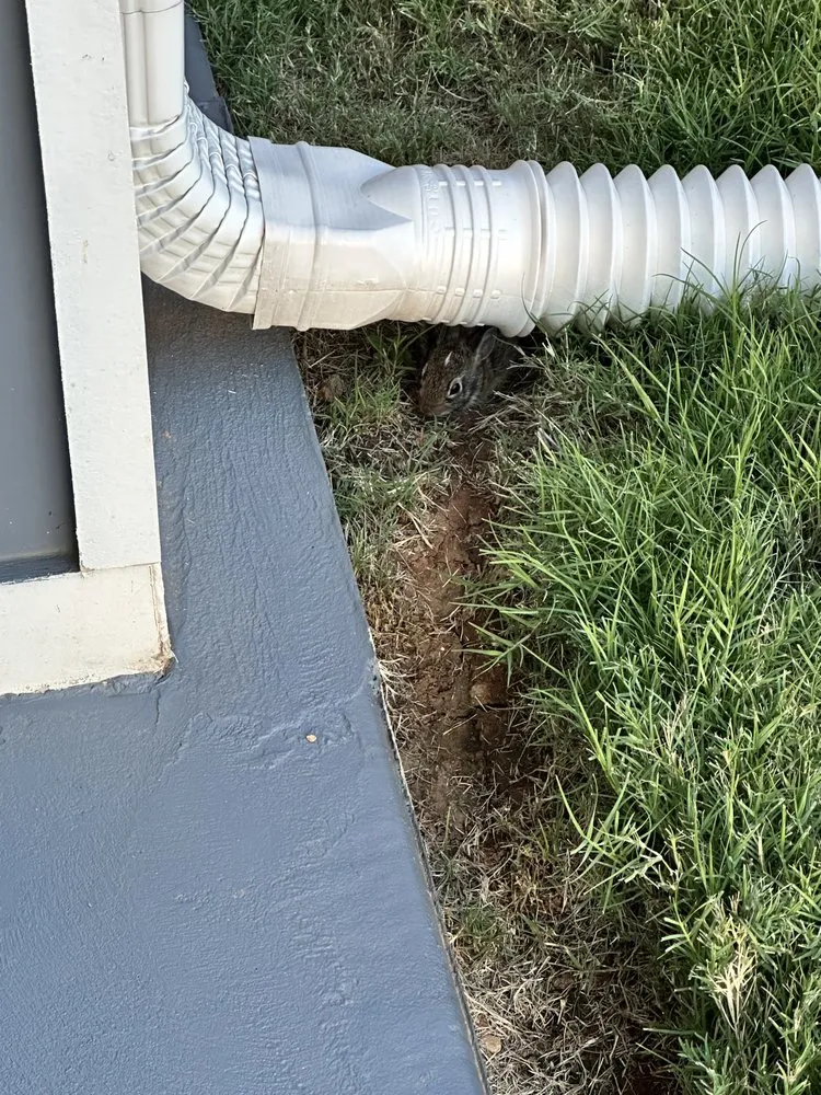 Top-rated lawn mowing service for residential properties in Huntsville, AL by R&R Lawncare and Landscaping