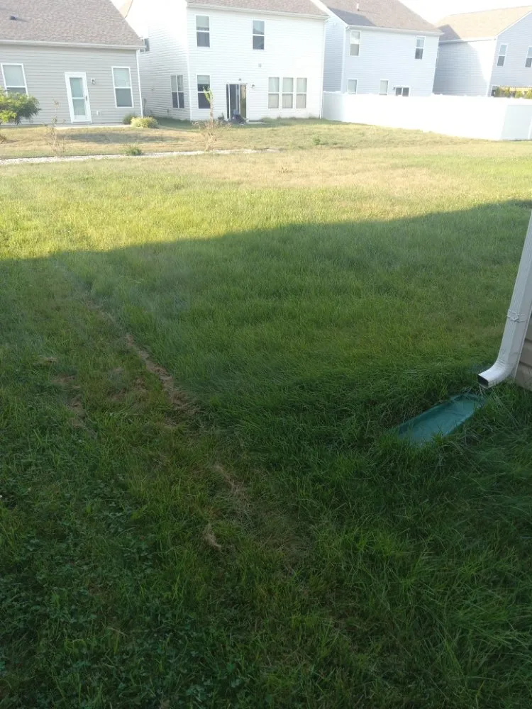 Local yard cleanup service for outdoor upgrades across Columbus, IN - R&R Mowing and Weed Eating