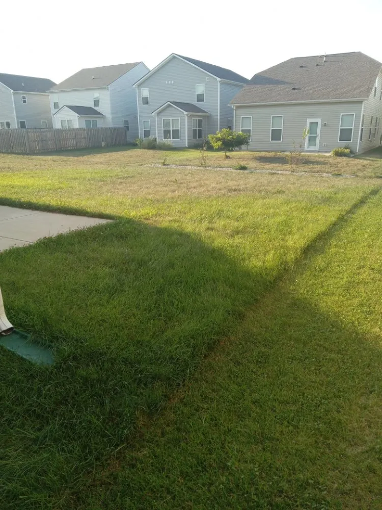 Reliable yard cleanup service for year-round maintenance across Columbus, IN - R&R Mowing and Weed Eating