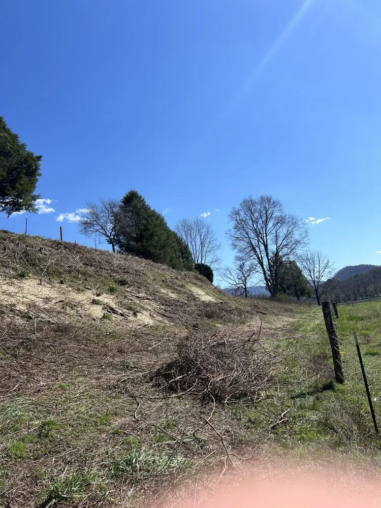Affordable lawn care service in Marshall, NC by R&R Outdoor Works