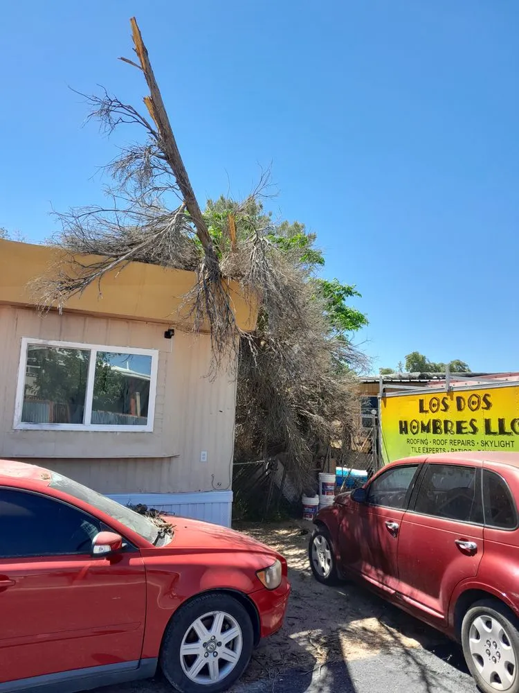 Local landscaping services in Tucson, AZ - RR Services