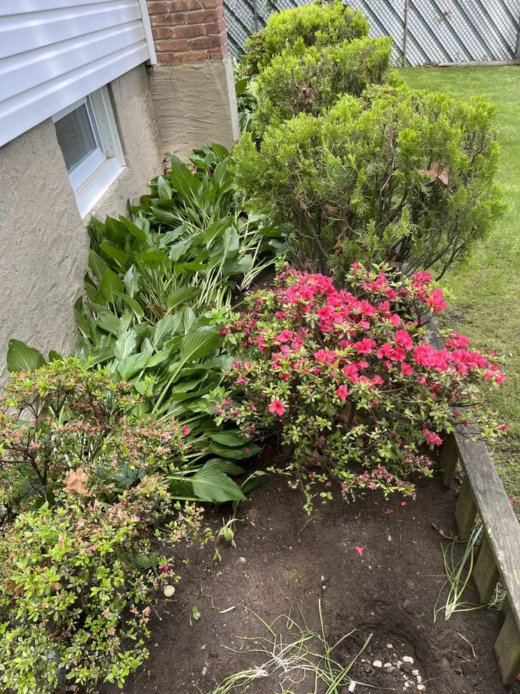 Trusted yard cleanup service for beautiful yards across Coram, NY - RR Shine Landscaping