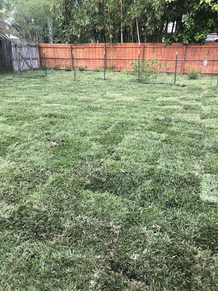 Professional yard cleanup service for outdoor upgrades across New Smyrna Beach, FL - R&R Sod