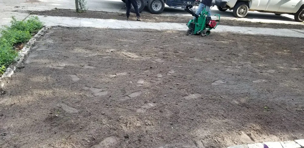 Professional residential landscaping in New Smyrna Beach, FL by R&R Sod