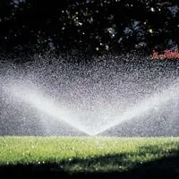 Custom lawn care service in Cape Coral, FL - R&R Sprinkler and Landscape
