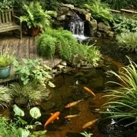 Top-rated yard maintenance in Cape Coral, FL by R&R Sprinkler and Landscape