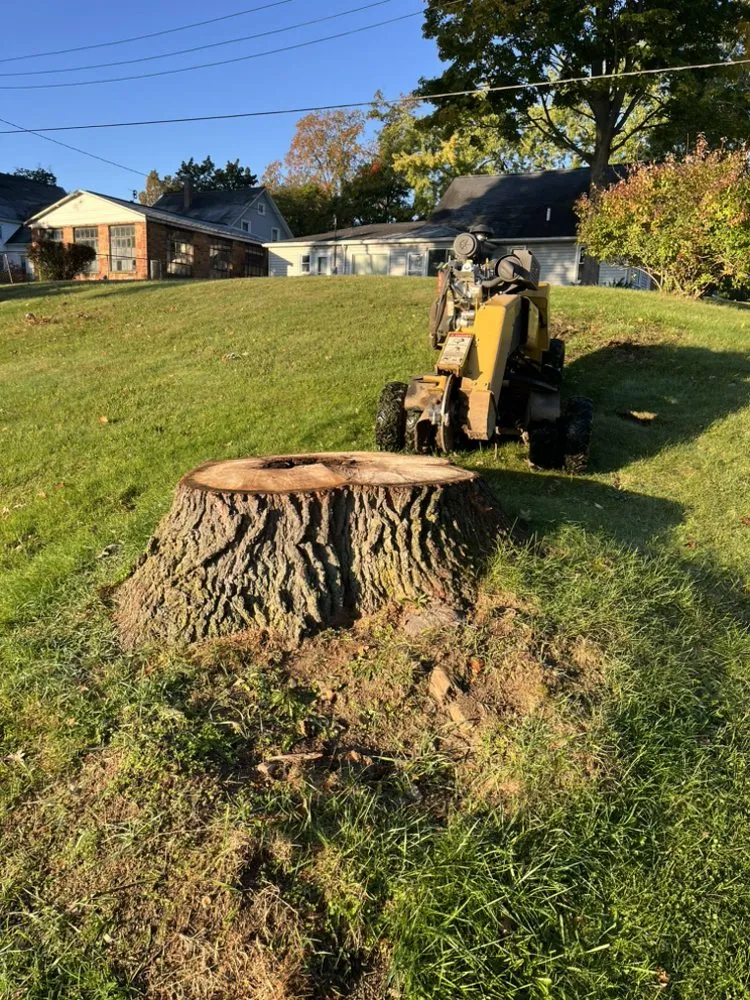 Reliable yard maintenance in Kalamazoo, MI - R&R Stump Grinding