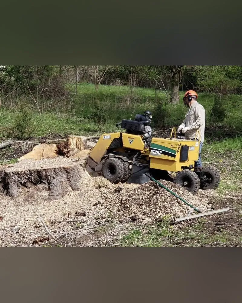 Local landscaping services in Kalamazoo, MI - R&R Stump Grinding