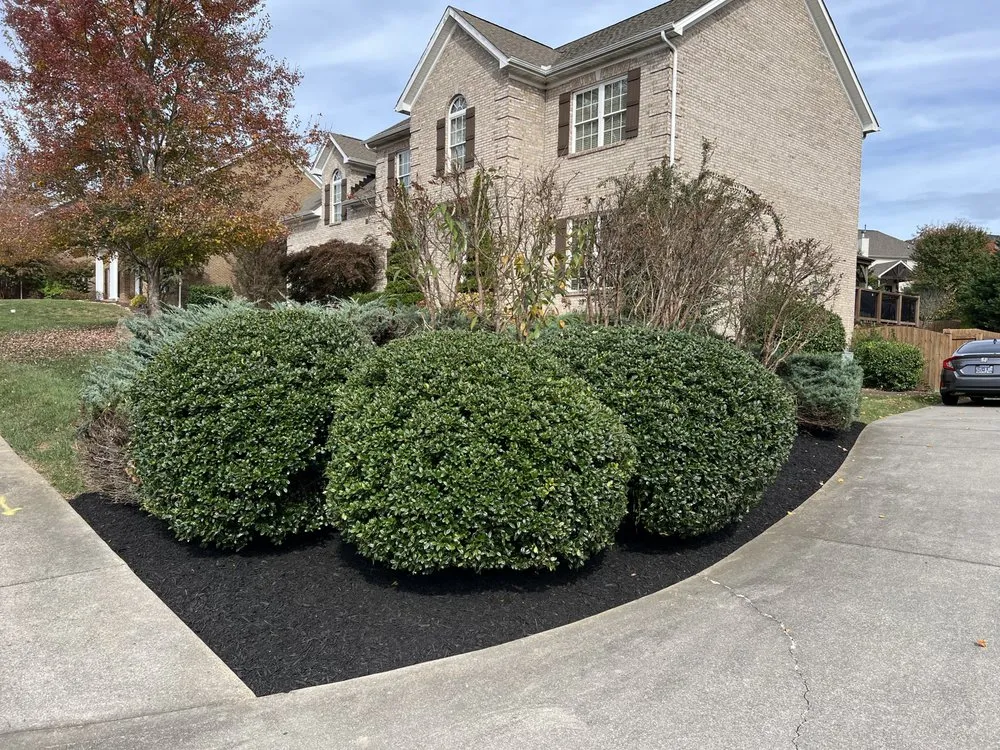 Local lawn care service in Knoxville, TN by R&R TLC Landscaping