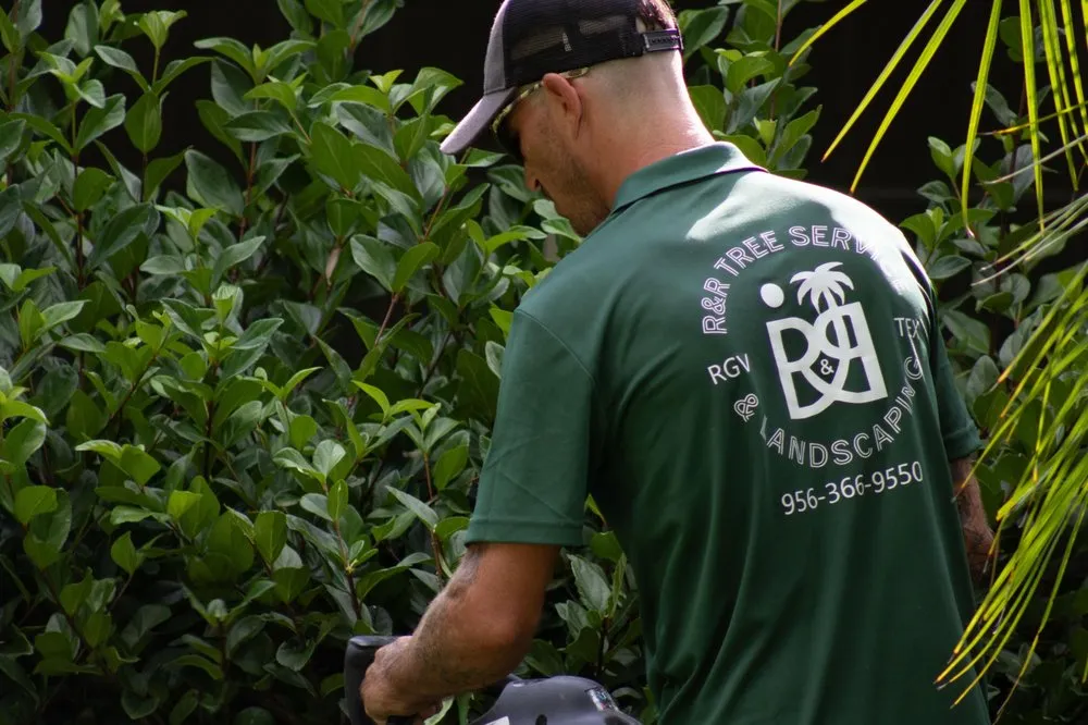 Custom outdoor landscaping in Brownsville, TX by R&R Tree Service and Landscaping