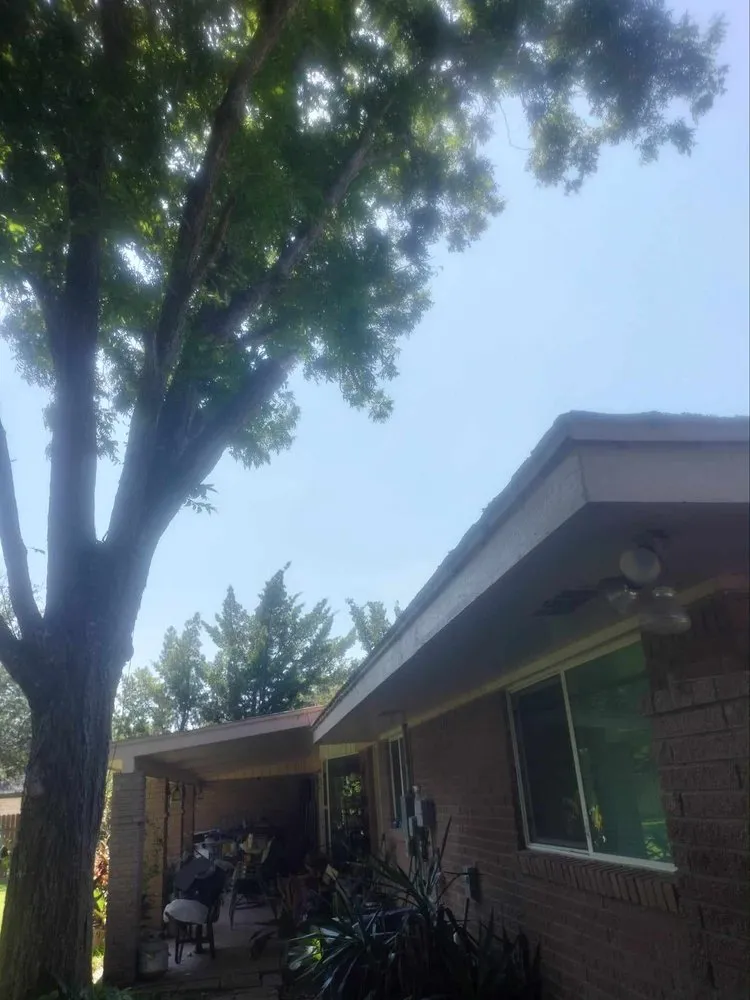 Professional landscape design with custom design in Brownsville, TX by R&R Tree Service and Landscaping