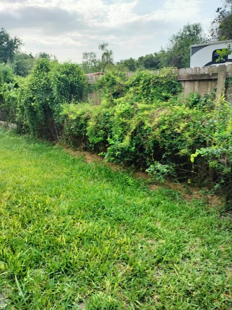 Trusted landscaping services experts serving Brownsville, TX - R&R Tree Service and Landscaping